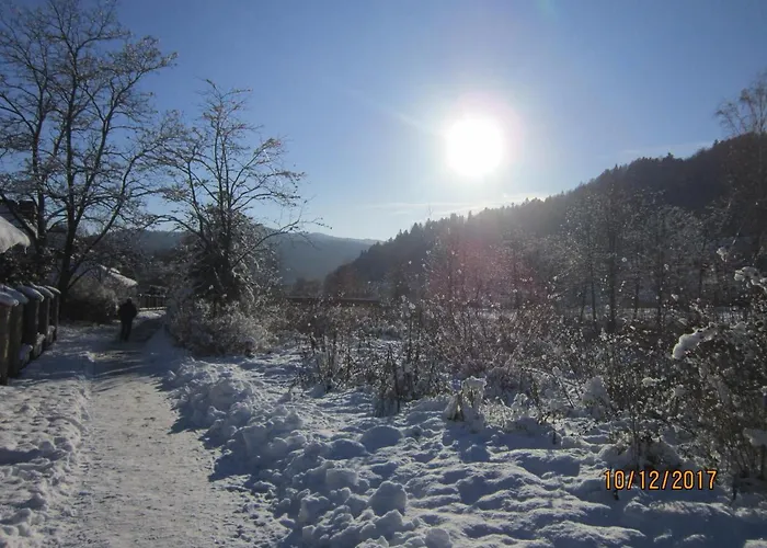 Villa Vitalis